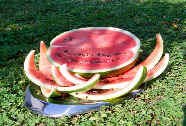 stukken-watermeloen